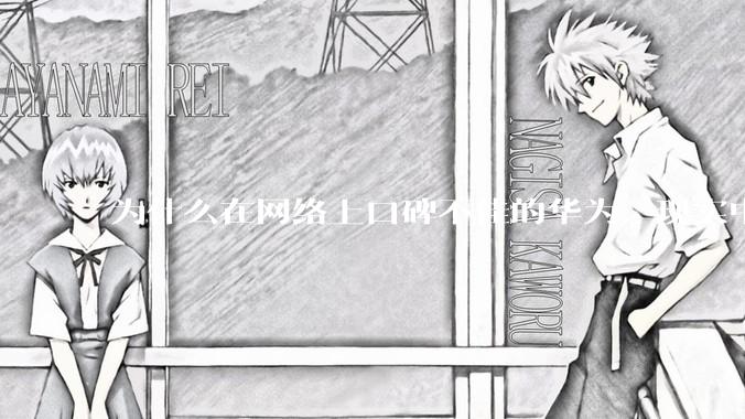为什么在网络上口碑不佳的华为，现实中的销量却相当好？