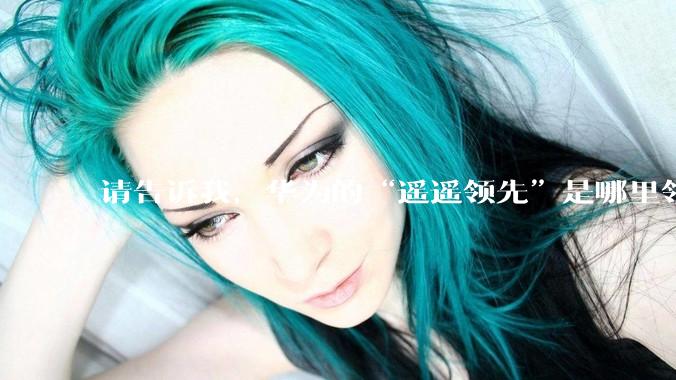 请告诉我，华为的“遥遥领先”是哪里领先啊？