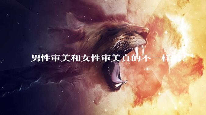 男性审美和女性审美真的不一样吗？