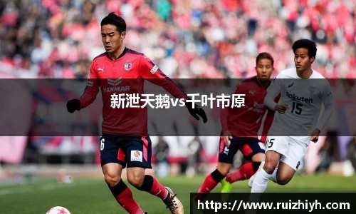 YY易游体育平台